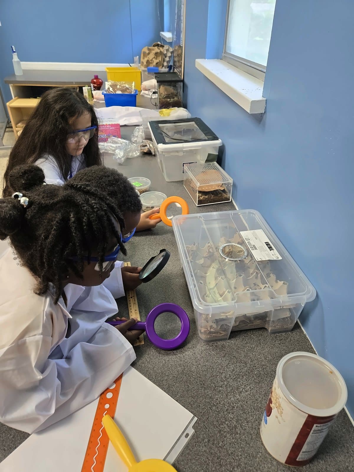 SWREA students in lab coats studying isopods in a classroom habitat