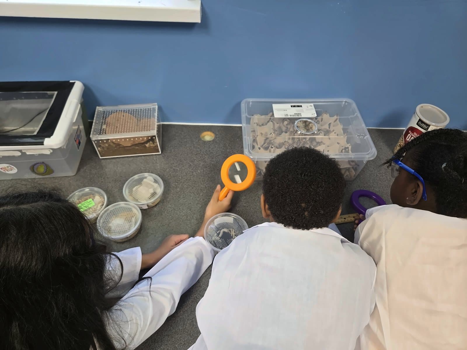 SWREA students using magnifying glasses to study small creatures